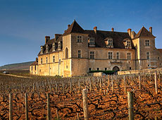 После столетий напряженной работы в области виноградарства и виноделия Франция стала ведущим производителем и экспортером, который до сих пор являлся серьезным конкурентом как для известных европейских вин, так и для быстроразвивающихся винных брендов из Нового Света