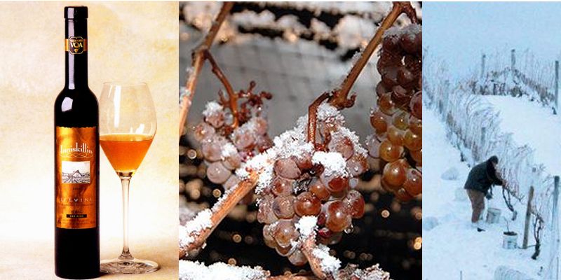 Неспішно дегустуючи білі солодкі вина, і звичайно ж Айсвайн (Ice wine), виноград для цього вина збирається після перших морозів, ягоди при цьому виділяють більше цукру