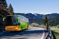 Дізнатися її автобус дуже легко: він світло-зеленого кольору, ось такий: