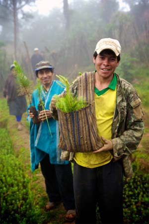 Перу є одним з провідних країн експортерів органічної кави (екологічно ЧИТСТЬ), який вирощується без будь-яких штучних добрив