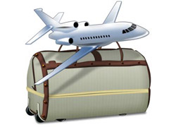 Правила перевезення багажу літаком цікавлять багатьох авіапасажирів, так як мало хто в наш час подорожує без нічого
