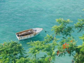 Ямайка находится в морской тропической климатической зоне