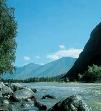 Алтайський державний природний заповідник Алтайський державний природний заповідник на південному сході Гірського Алтаю, в верхів'ях і на правобережжі р