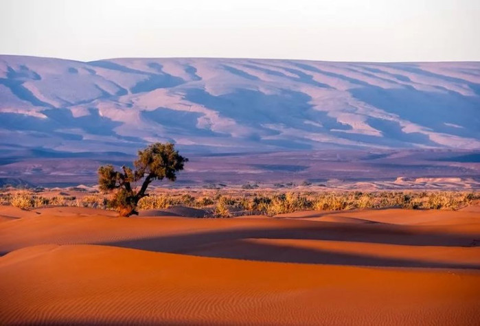 Розташована на півночі Африканського континенту пустеля - найбільша спекотна пустеля і друга, після Антарктичної, пустеля на Землі