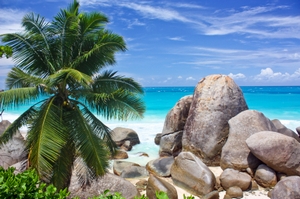 Сейшельські острови - втрачений і знайдений рай в серці Індійського океану: 115 дивовижних островів, з яких тільки 30 заселені