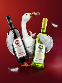 Цього разу в продаж надійшло 1 мільйон 900 тисяч пляшок Святомартінского вина, що дещо менше, ніж за сезони передували двох років